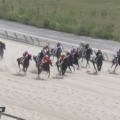 8/3中京 3歳未勝利D1900m【シーラスストリーク《初戦》】