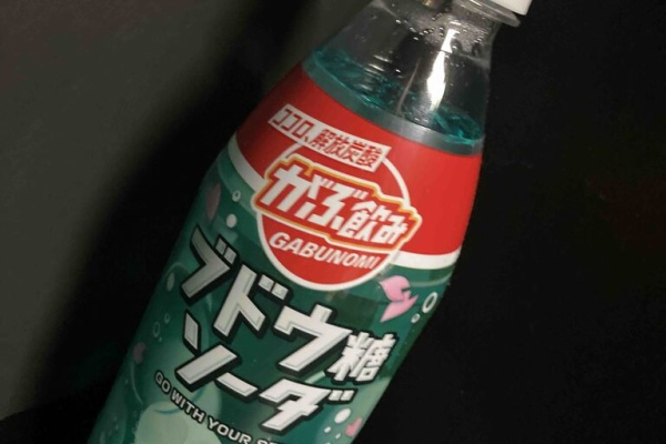 ジュース愛好家のNewブログ - ラムネ系サイダー 