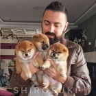 ワイの犬の名前が わたあめ なんやけど どう思う わんニャンざんまいの広場