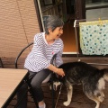 何もない週
