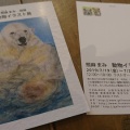 照麻まみ　動物イラスト展