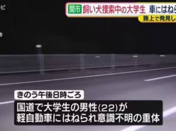 これはやりきれない…脱走した飼い犬を捜索中、路上で死んでいる飼い犬を見つけ車から降りたところ後続車にはねられ重体