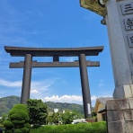 努力の上に花は咲くⅡ