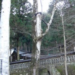 コンピテンシー宣教師日記