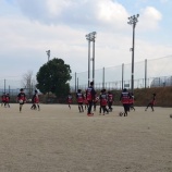 『植木にて』の画像