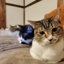 ステップアップ🌠