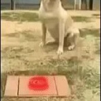 はーとログ