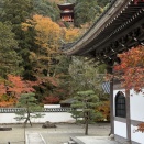 幽玄の理念を体現するかのような紅葉の空間「臨済宗大本山 佛通寺」（広島県三原市）