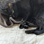 urushizutoぐみ と