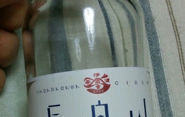 『王様の休日　～長良川B　6月21日続き～』の画像