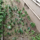 遠征明けねむねむ