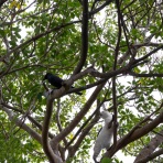 猫写真家・沖 昌之のブログ　野良ねこちゃんねる。　