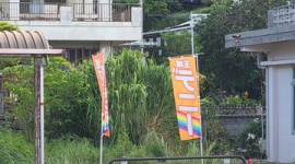 【沖縄知事選】選挙告示前に『玉城デニー』のぼり旗が掲示される…地元民「憲法の前に公選法守れよ」