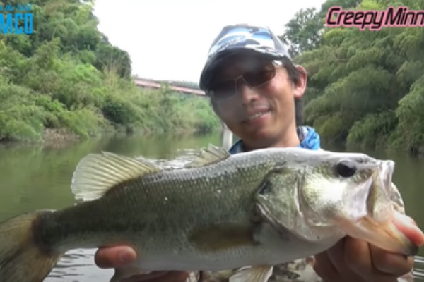釣りたいバス釣り日記