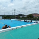水泳日和？