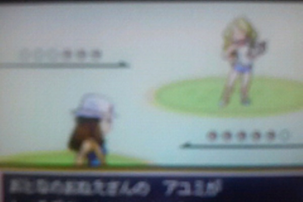 イーブイだいすき 07年11月