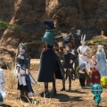 メモ：【FF14】ザナラーンにだって夏は来る
