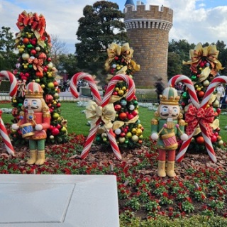 hanaのディズニーとおでかけ