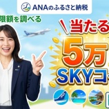 『ANAのふるさと納税、納税寄付上限額を調べるだけで5万SKYコインが当たる！』の画像
