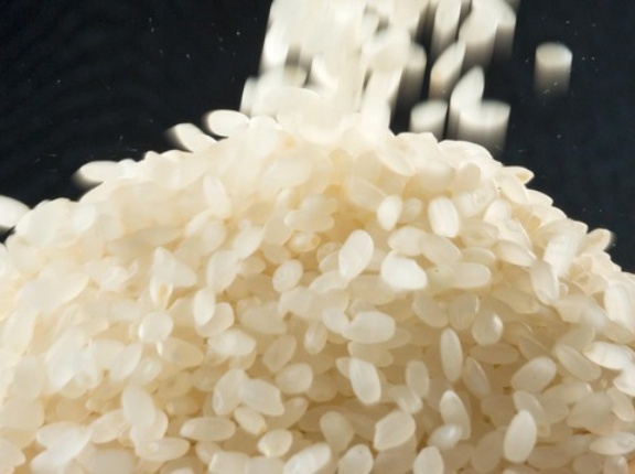 「投げ売りしなきゃ追いつかない」令和のコメ騒動から2年、一転して「コメ余り」７週連続の値下がり