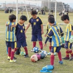 火の鳥FC Liveリポート