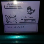 変化という流れの中で。FES!!