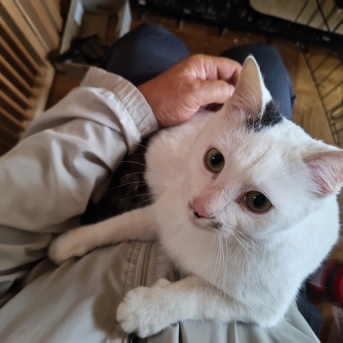 プン！　四十四日目