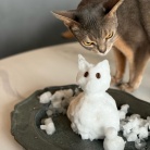 猫だるまちゃんとニャンコ