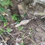 『地雷、不発弾の回収』の画像