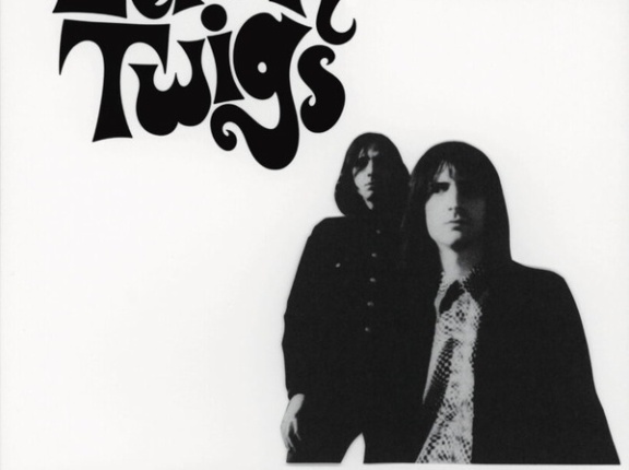 【新品】～スタッフ大推薦盤！LEMON TWIGSの新曲限定シングルが入荷～