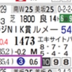 ハイブリッド競馬新聞
