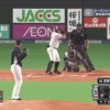 日ハム・アルシア、久々のバット折りｗｗｗｗｗｗｗｗ