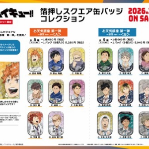 ハイキュー!! 排球 援!! 【ボードゲーム】 : アニメ＆漫画 グッズ情報