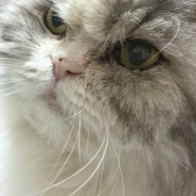 ケイとメルシーの体重測定