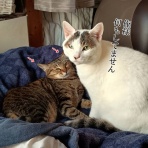 moroのハンドメイド