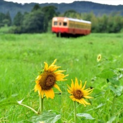年07月 飯給 南市原 里山便り