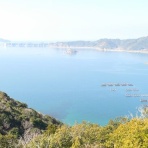 さぬきうどんによるカーボローディング