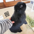 〜 こんぶごごろ 〜