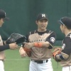 今日の日ハム外野会議ｗｗｗｗｗｗｗｗ