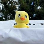 南山大学体育会水泳部