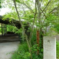 兵庫／HIRAMATSUGUMI（ヒラマツグミ）兵庫県洲本市