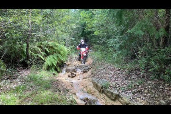 Team崖落ち ひで爺