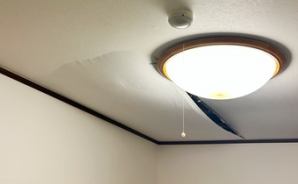 雨が続き剥がれかけてきた天井