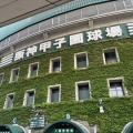 【大阪遠征記】念願の初・甲子園!
