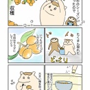 びわのフルーツサラダ