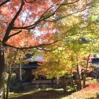 『冬に向かいて　３』の画像