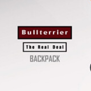 ブラジリアン柔術ニュースブログ ブラジルブログ