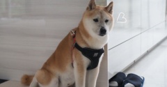 8月突入かぁ！