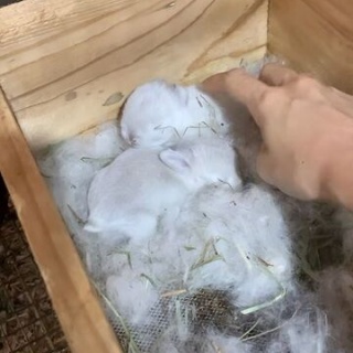 うのくらし