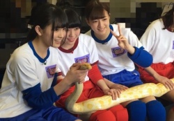 【乃木坂46】ヘビ触れるってすごいよな・・・・・